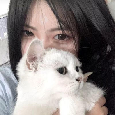 刀剑笑满v变态版下载