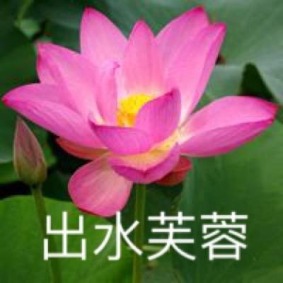 三百英雄大作战手游下载
